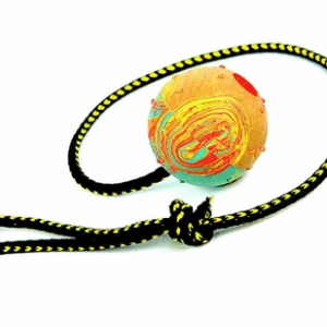 DINGO pall kellukese ja 60cm nööriga
