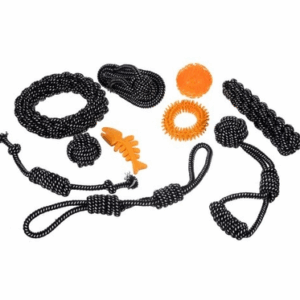 Purlov koerte mänguasjade komplekt – 10 tk
