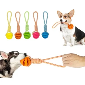 NUXIE koera mänguasi – sikutamismänguasi palliga (30cm)