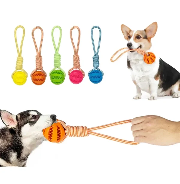 NUXIE koera mänguasi – sikutamismänguasi palliga (30cm)